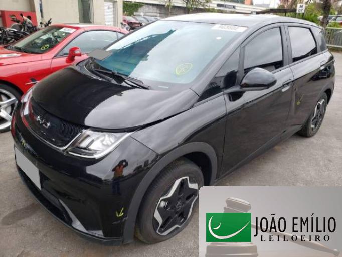 BYD DOLPHIN 23/24